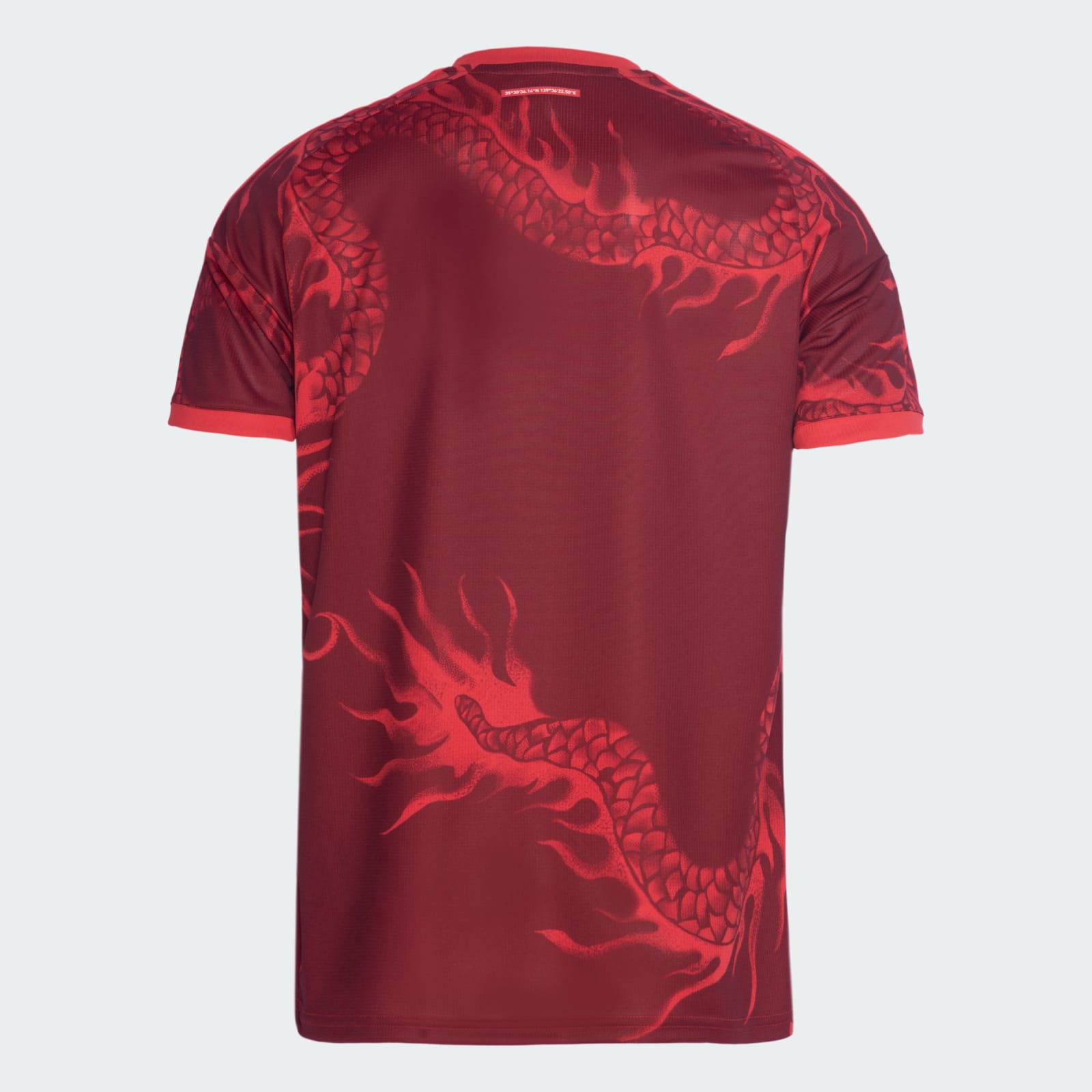 Internacional 2026 Third Fan jersey back view