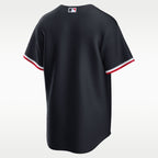 Minnesota Twins Jersey — Navy — back view