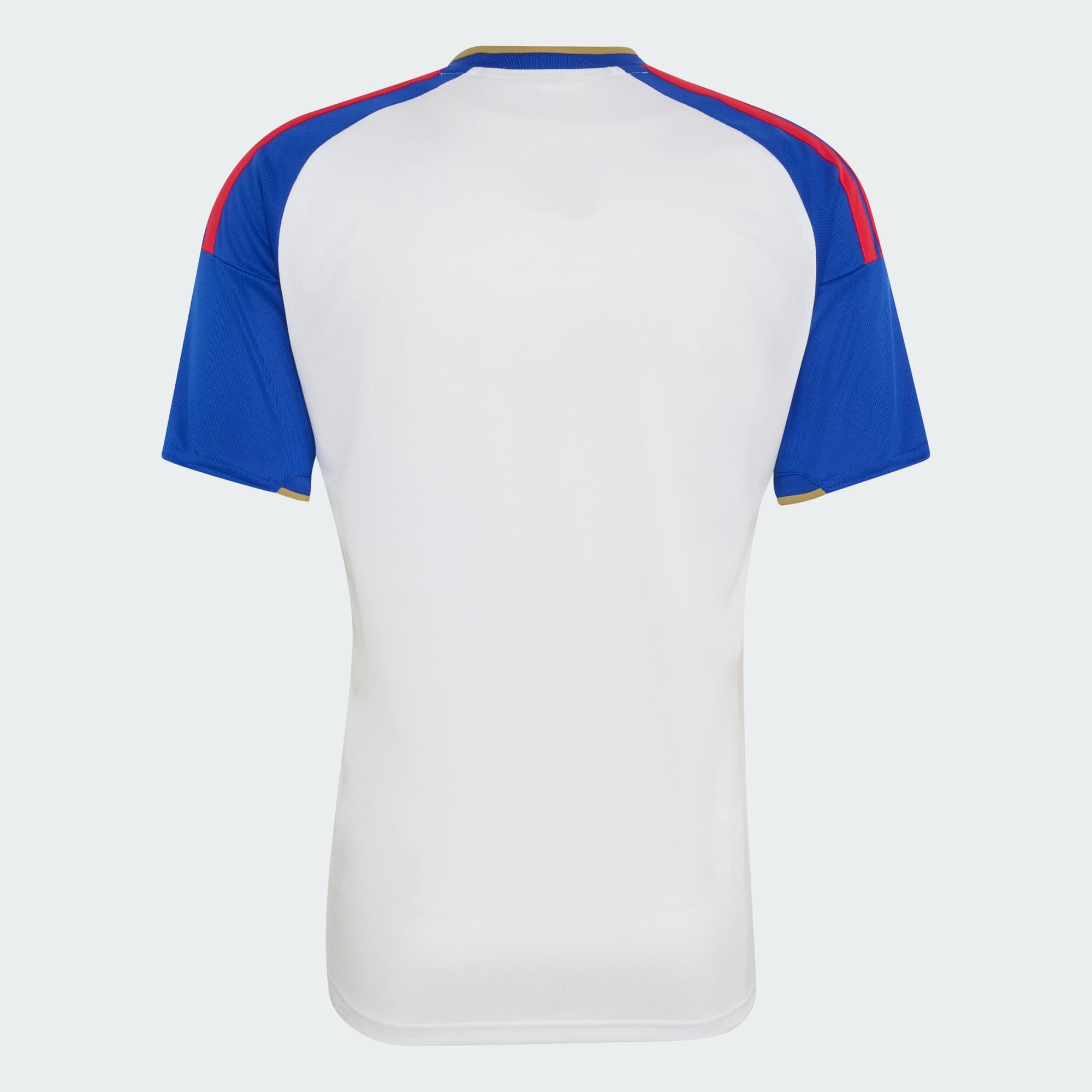 Olympique Lyonnais 2026/27 Home Fan jersey back product view