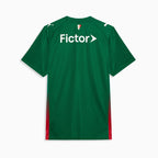Palmeiras 2026 Home Fan jersey back view