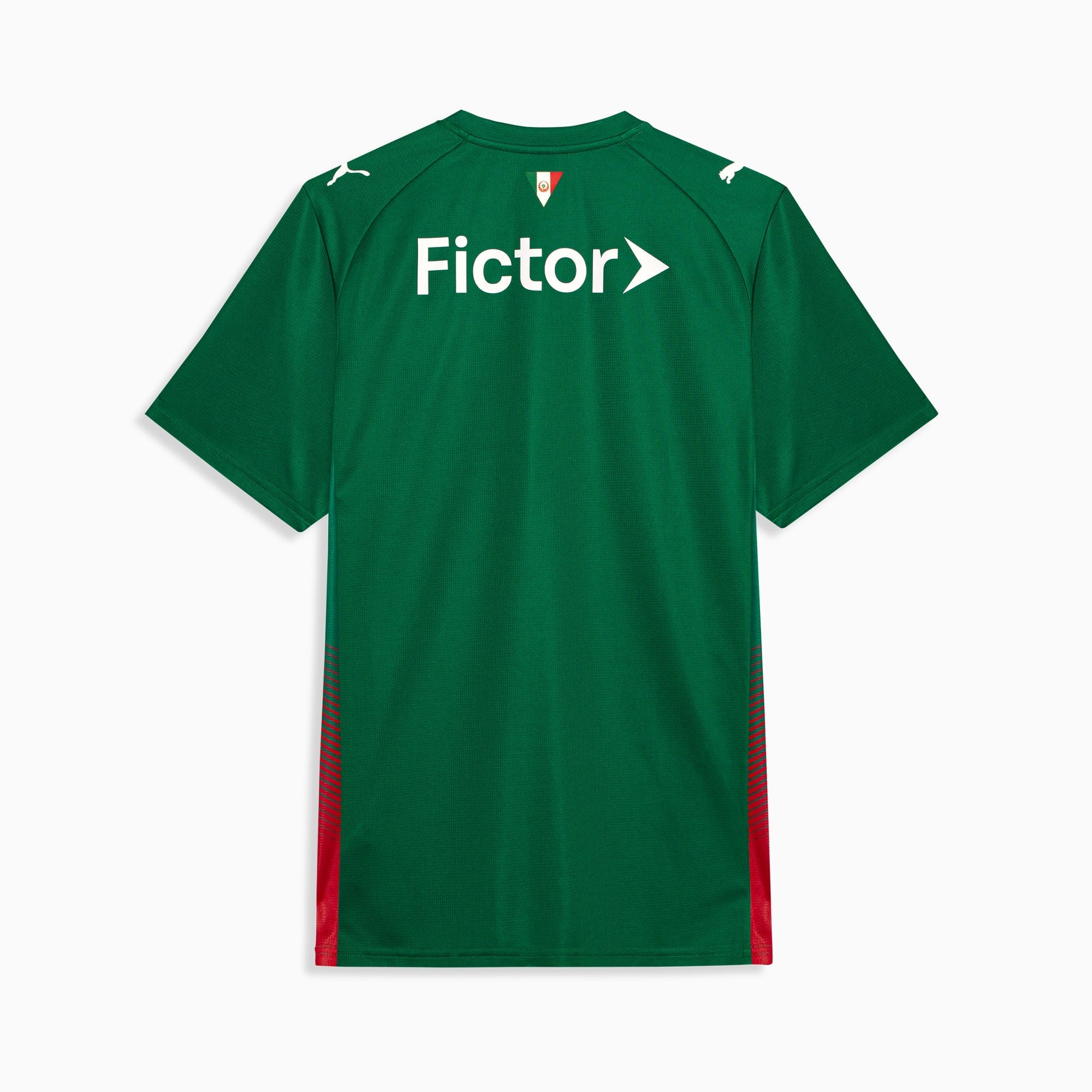 Palmeiras 2026 Home Fan jersey back view