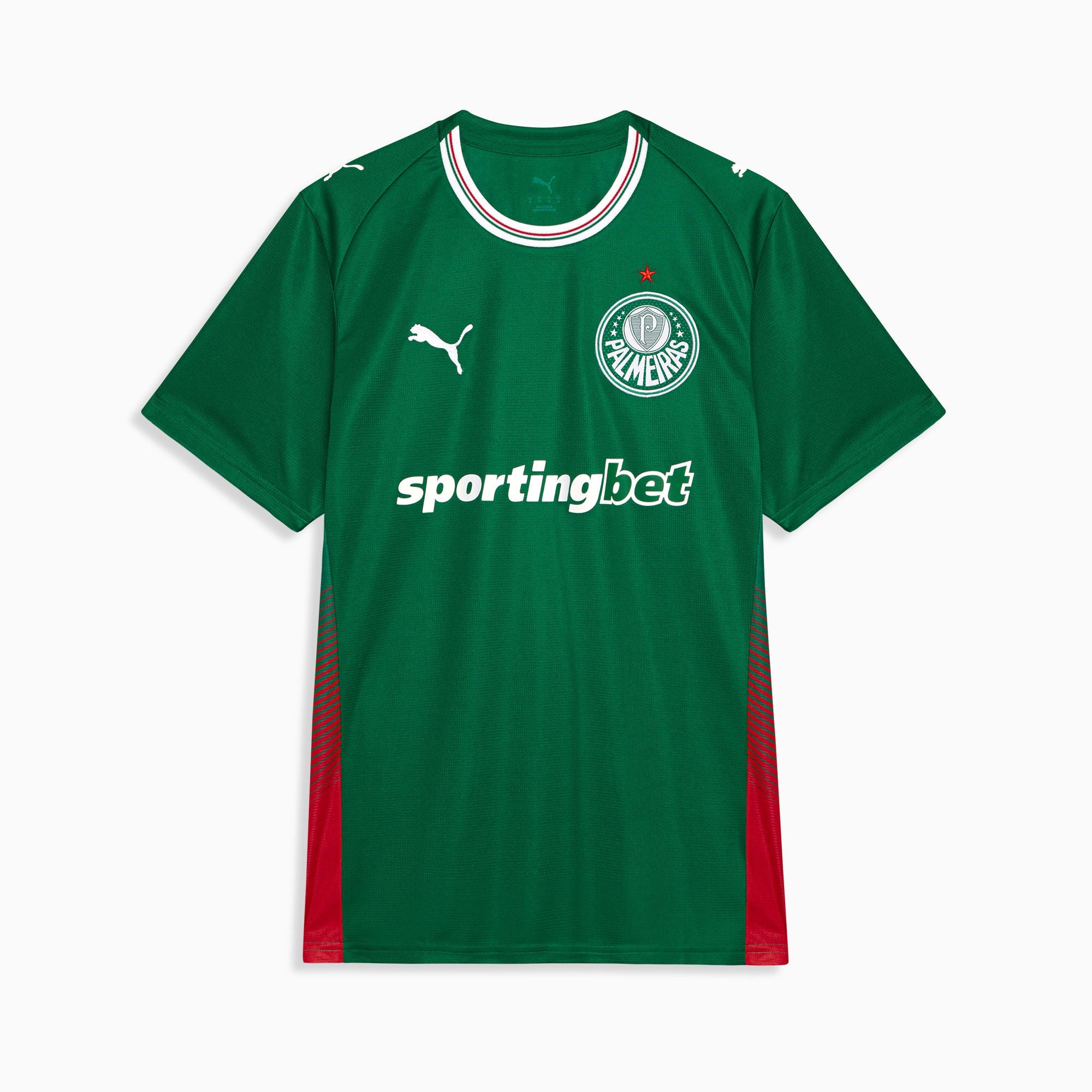 Palmeiras 2026 Home Fan jersey front view